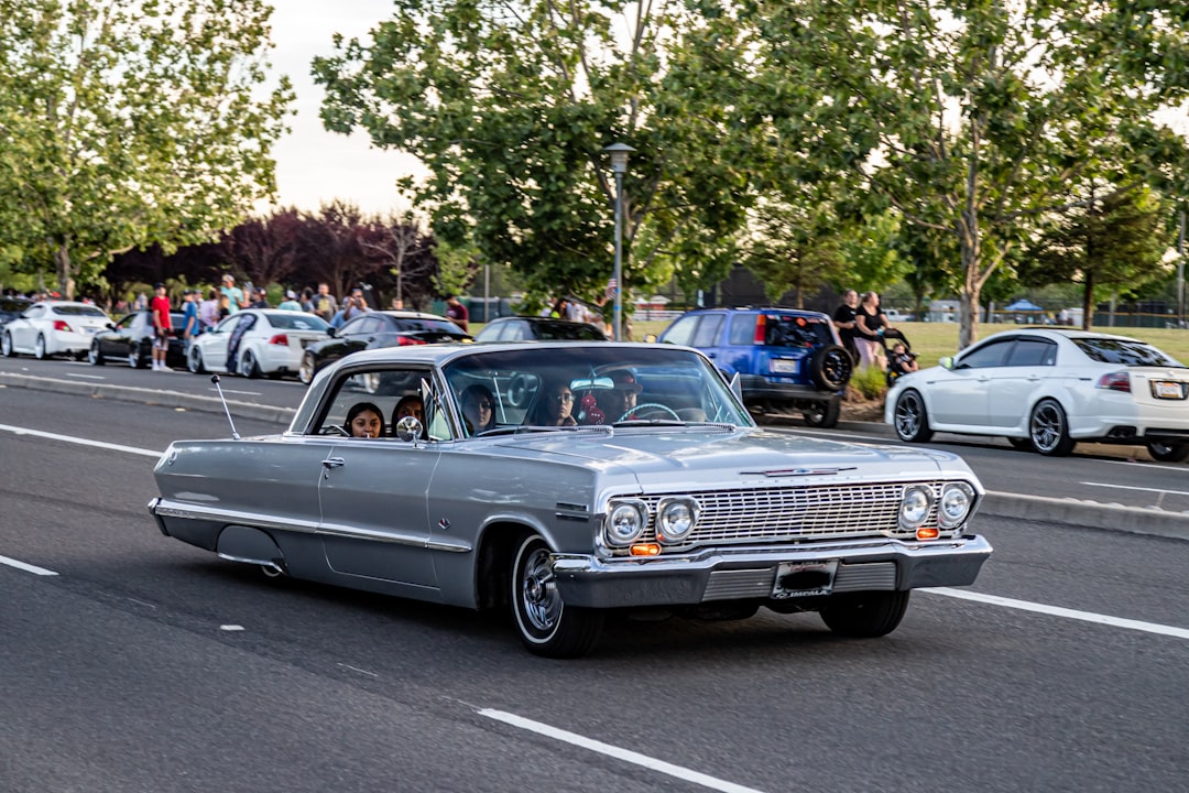 Photo suspension light